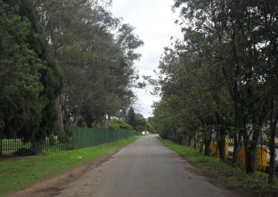 SAM_5736